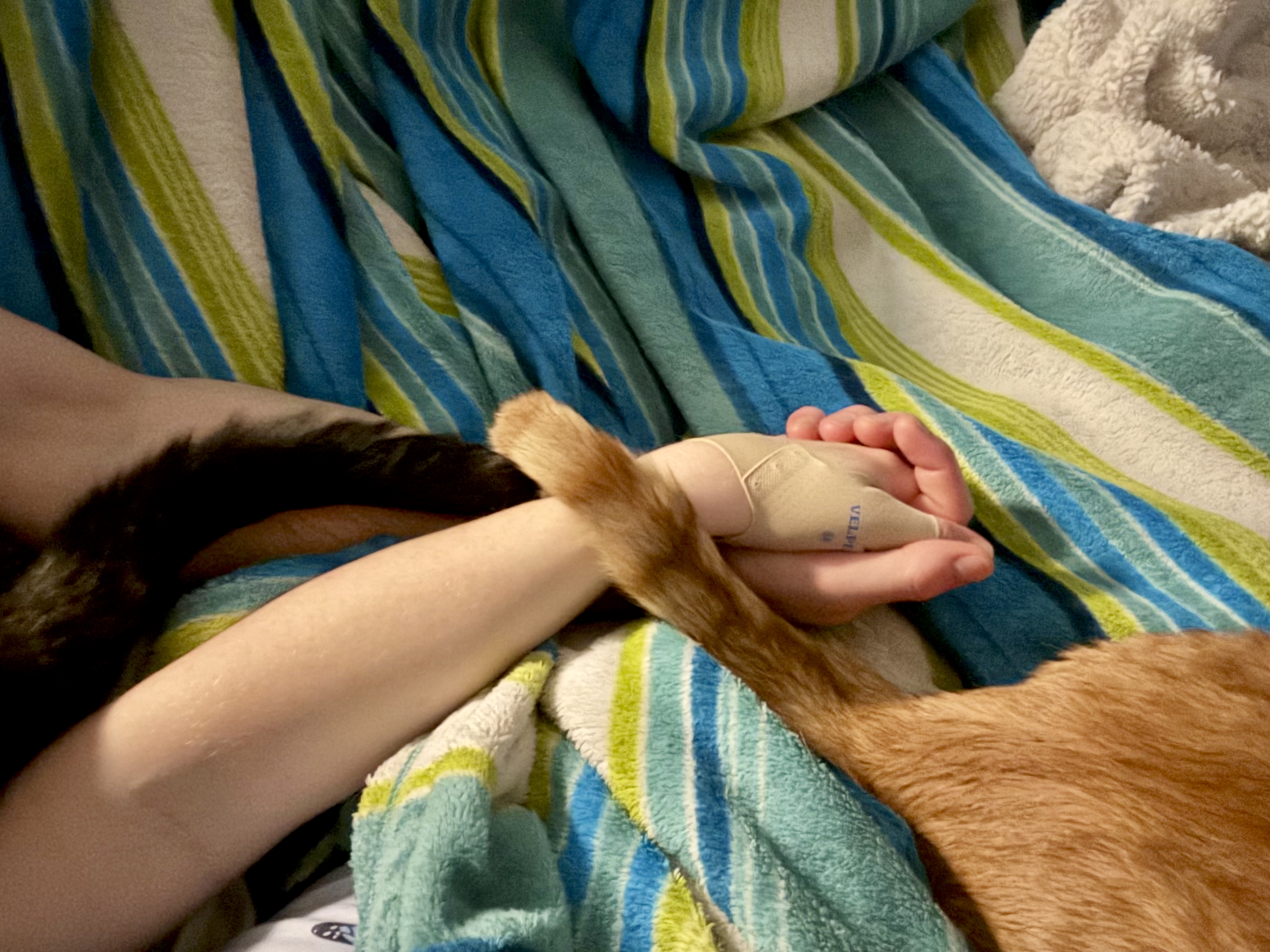 One of Bant's final nights, lying together as a family in bed